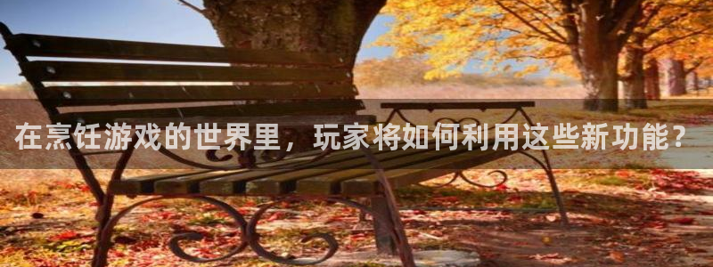 优贝娱乐注册服务条款：在烹饪游戏的世界里，玩家将如何利用这些
